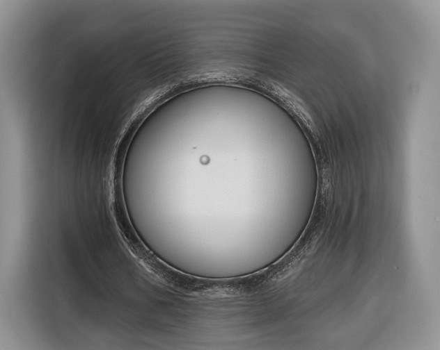 X0000116380578200912091416