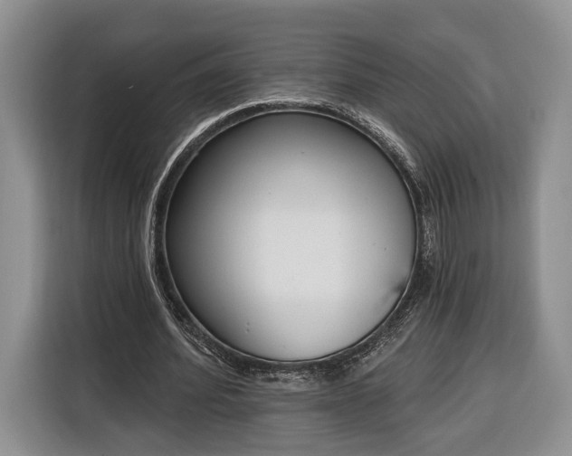 X0000116380580200912091416