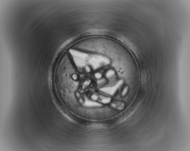 X0000116380581200912091416
