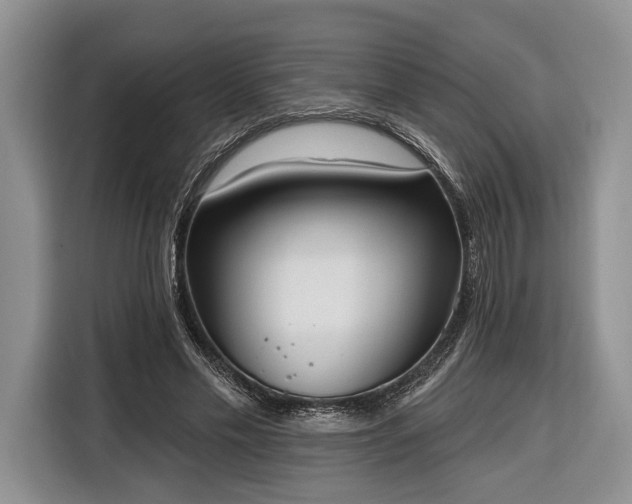 X0000116380589200912091416