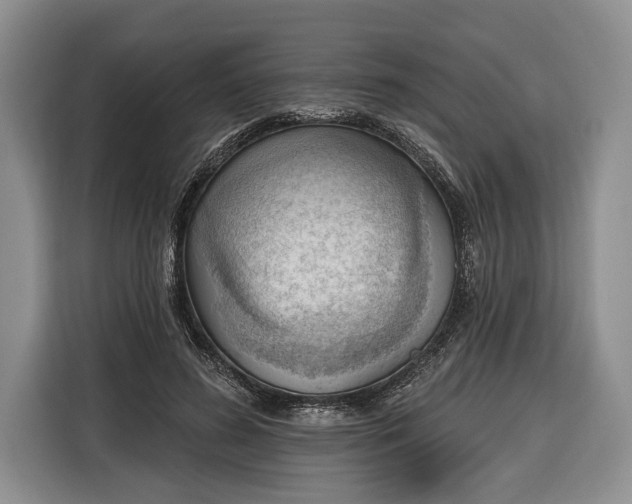 X0000116380596200912091416