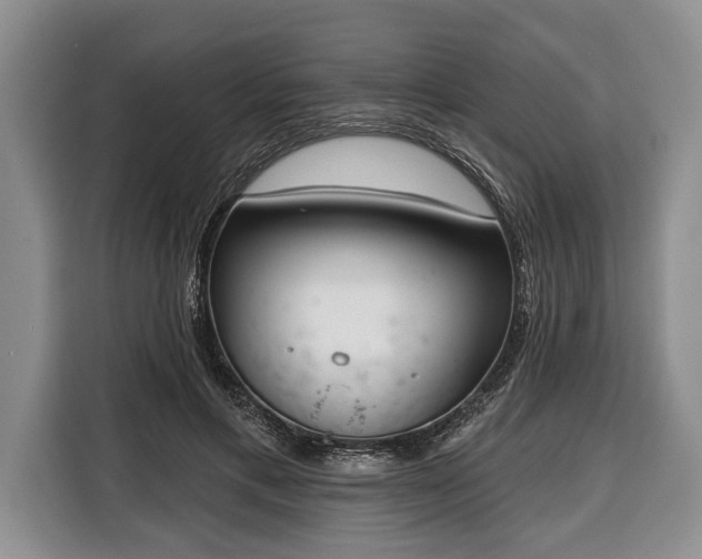 X0000116380597200912091416