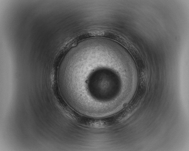 X0000116380600200912091416