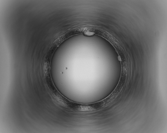 X0000116380605200912091416
