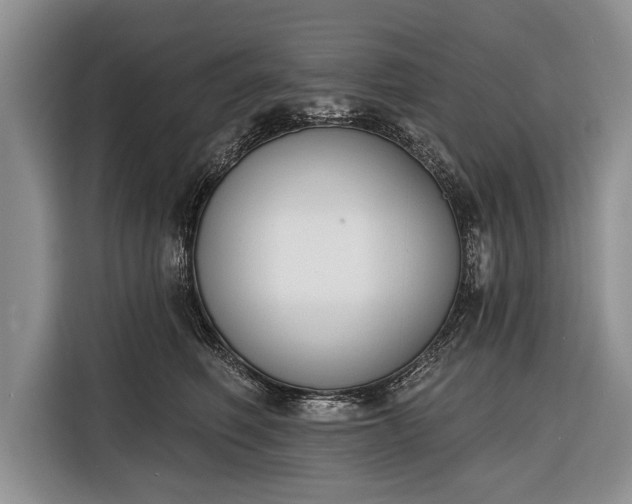 X0000116380614200912091416