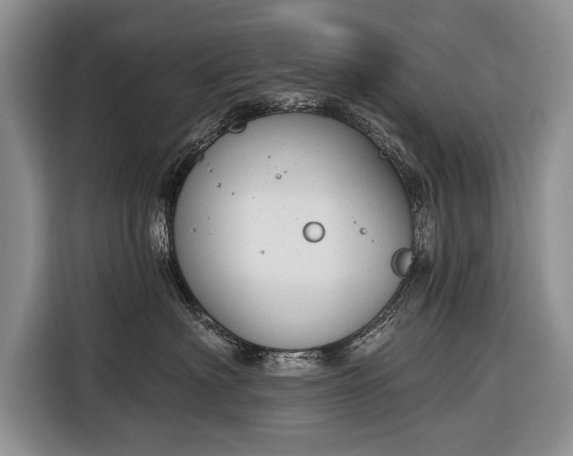 X0000116380622200912091416
