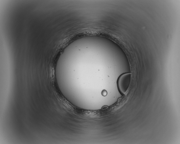 X0000116380624200912091416