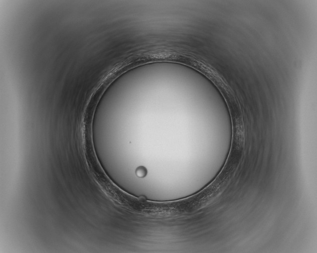 X0000116380626200912091415