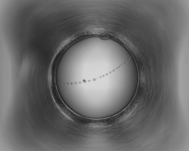 X0000116380630200912091415