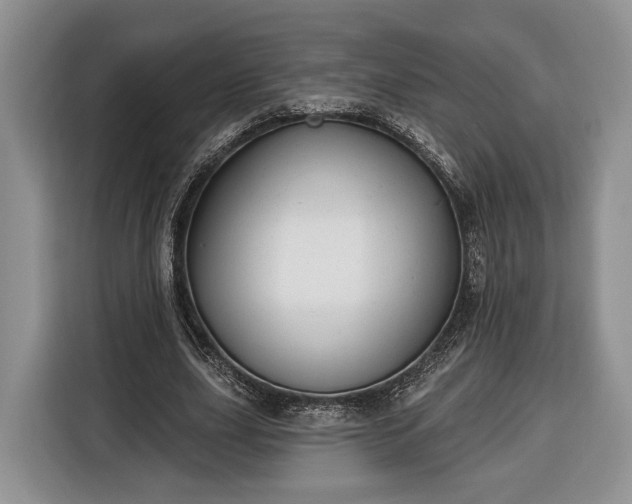 X0000116380631200912091415