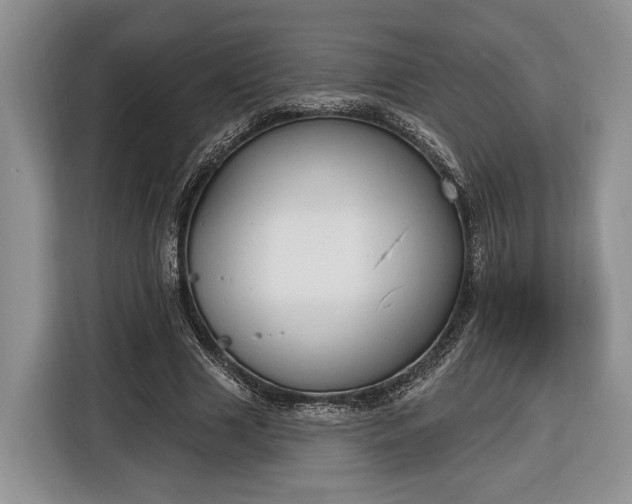 X0000116380633200912091415
