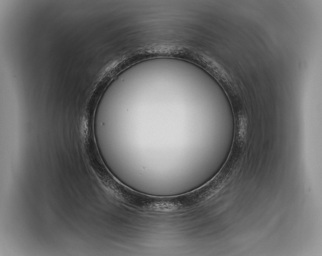 X0000116380636200912091415