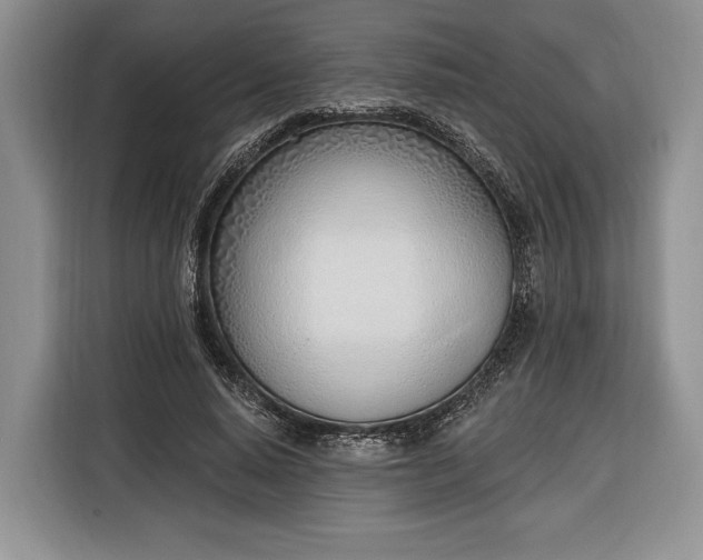 X0000116380640200912091415