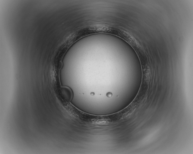 X0000116380643200912091415