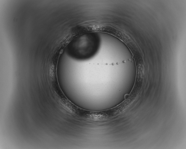 X0000116380650200912091415