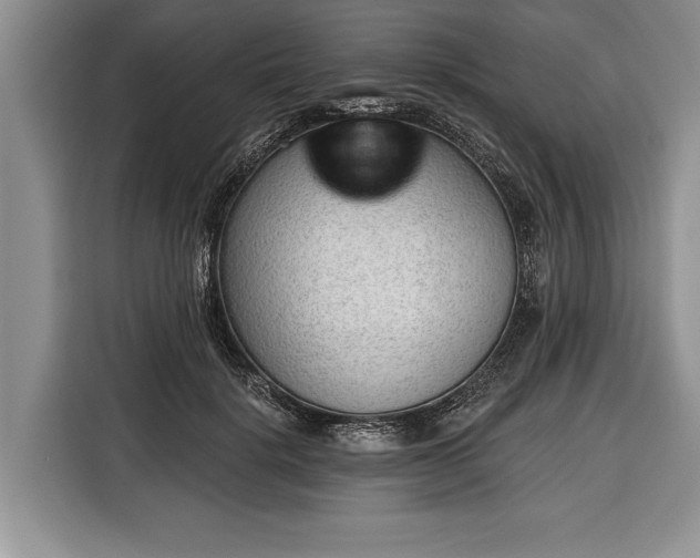 X0000116380652200912091415