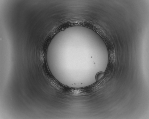 X0000116380662200912091415