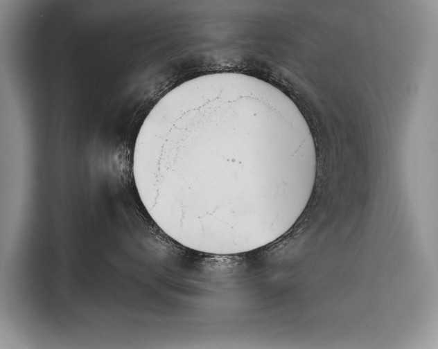 X0000116380672200912091416