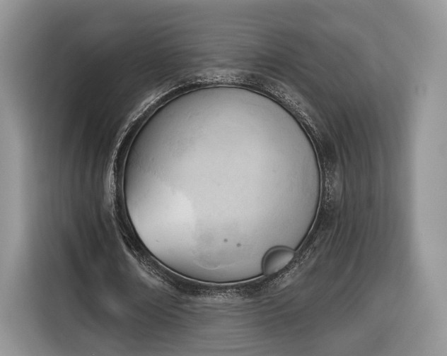 X0000116380674200912091415