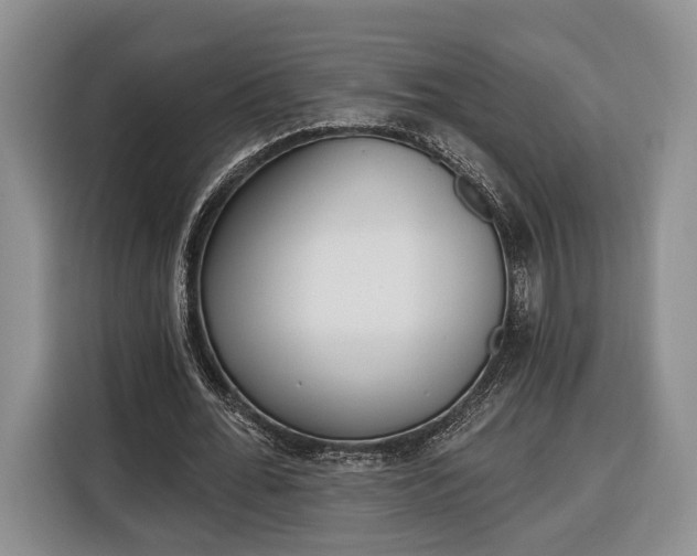 X0000116380676200912091415