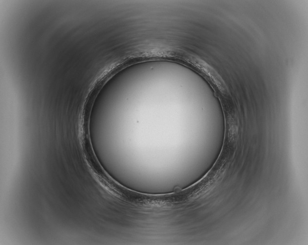 X0000116380677200912091415