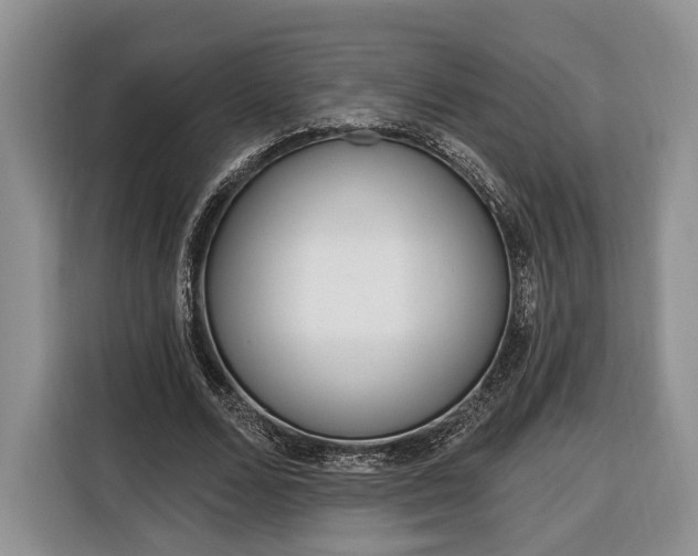 X0000116380680200912091415