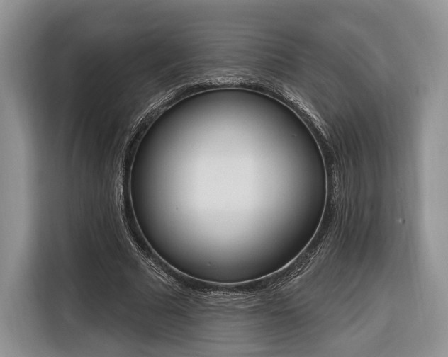 X0000116380681200912091415