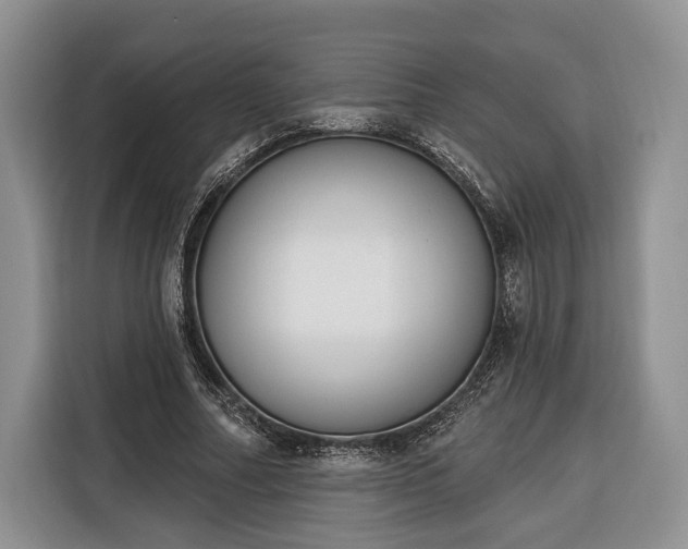 X0000116380682200912091415