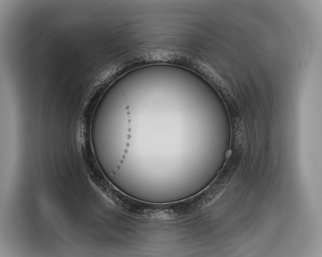 X0000116380683200912091415
