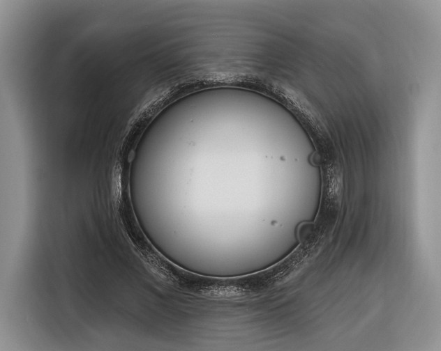 X0000116380685200912091415