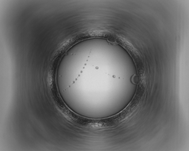 X0000116380687200912091415