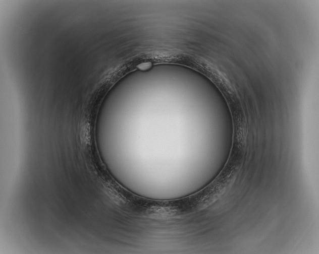 X0000116380689200912091415