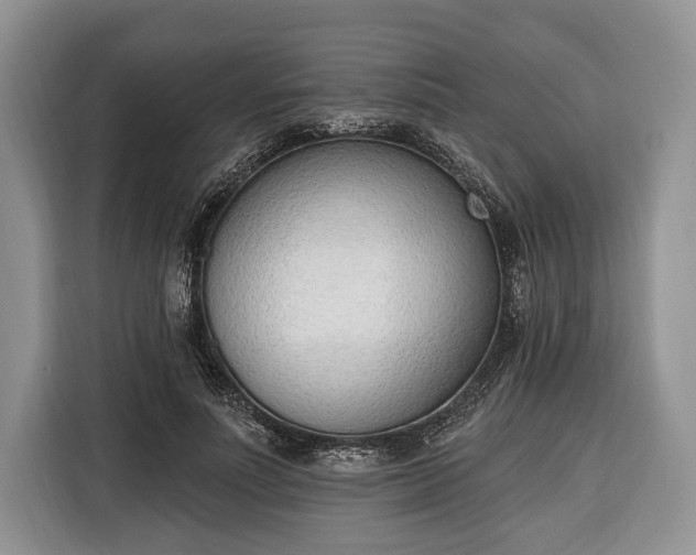 X0000116380691200912091415