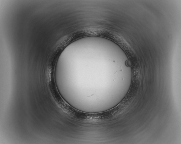 X0000116380694200912091415