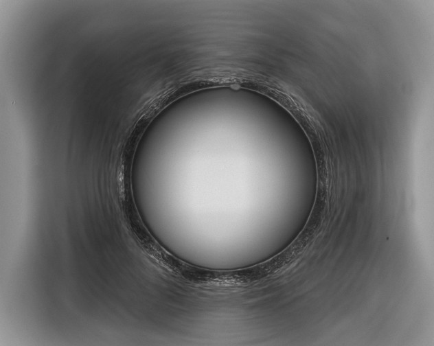 X0000116380696200912091415