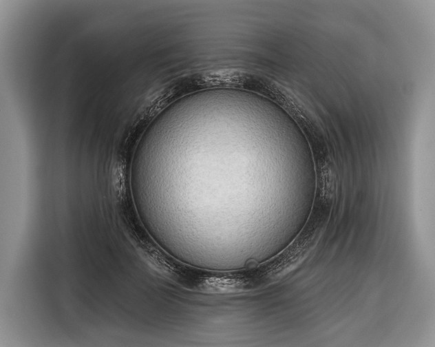X0000116380699200912091415