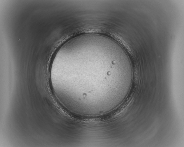 X0000116380721200912091414