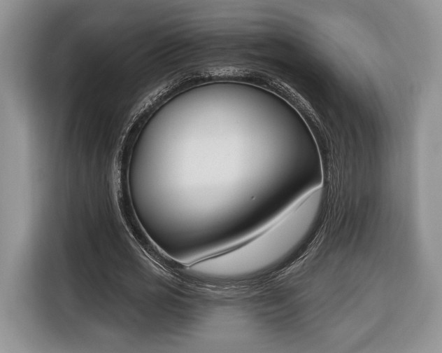 X0000116380725200912091414