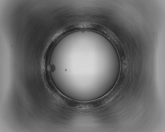 X0000116380727200912091414