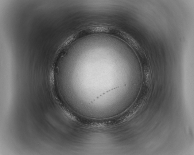 X0000116380729200912091414
