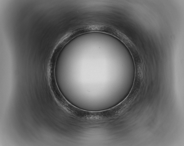 X0000116380730200912091414
