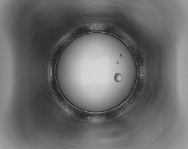 X0000116380733200912091414