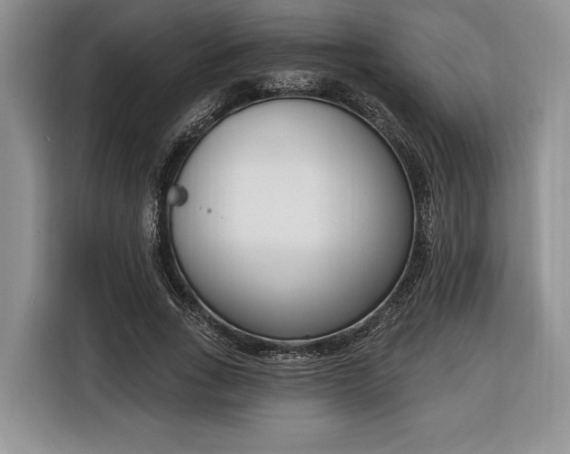 X0000116380735200912091414