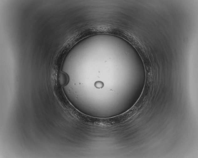 X0000116380739200912091414