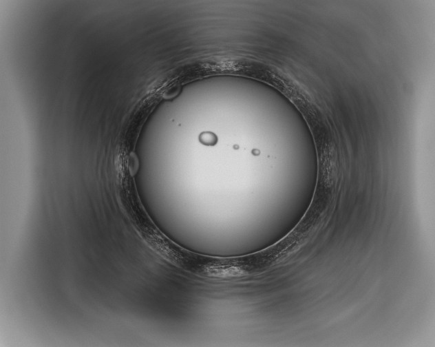 X0000116380747200912091414