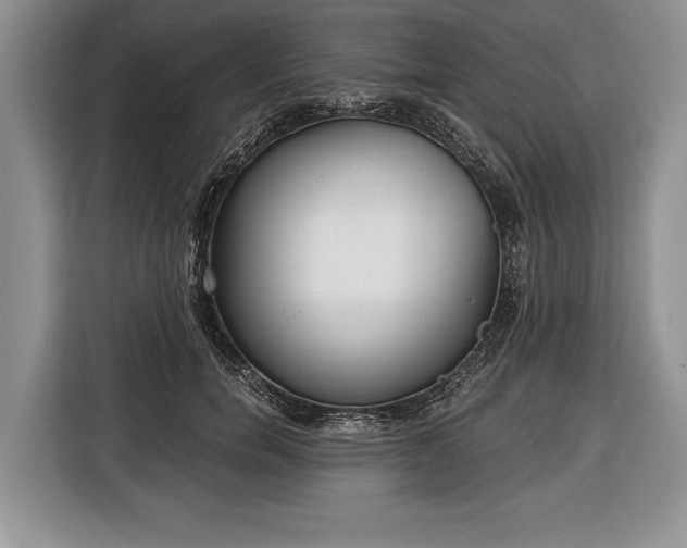 X0000116380750200912091414