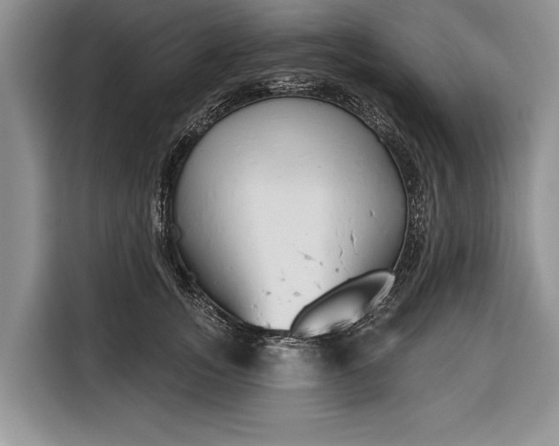 X0000116380755200912091414