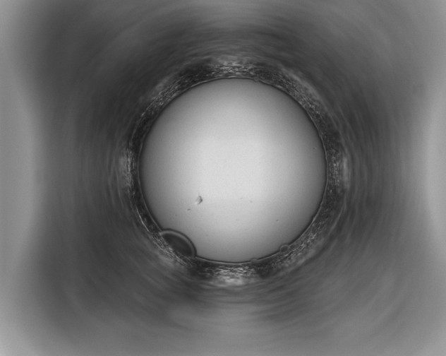 X0000116380757200912091414