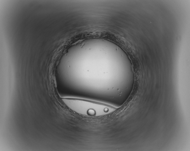 X0000116380769200912091414