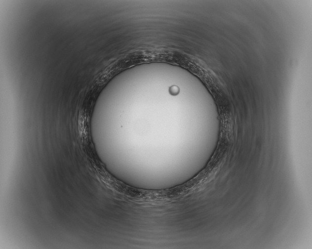 X0000116380770200912091414